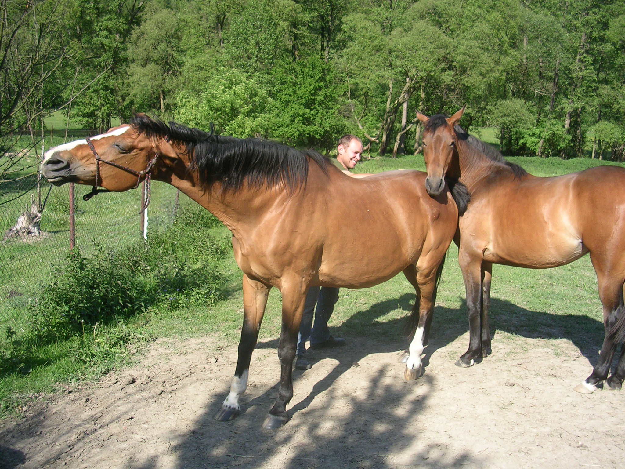 DSCN5717.JPG