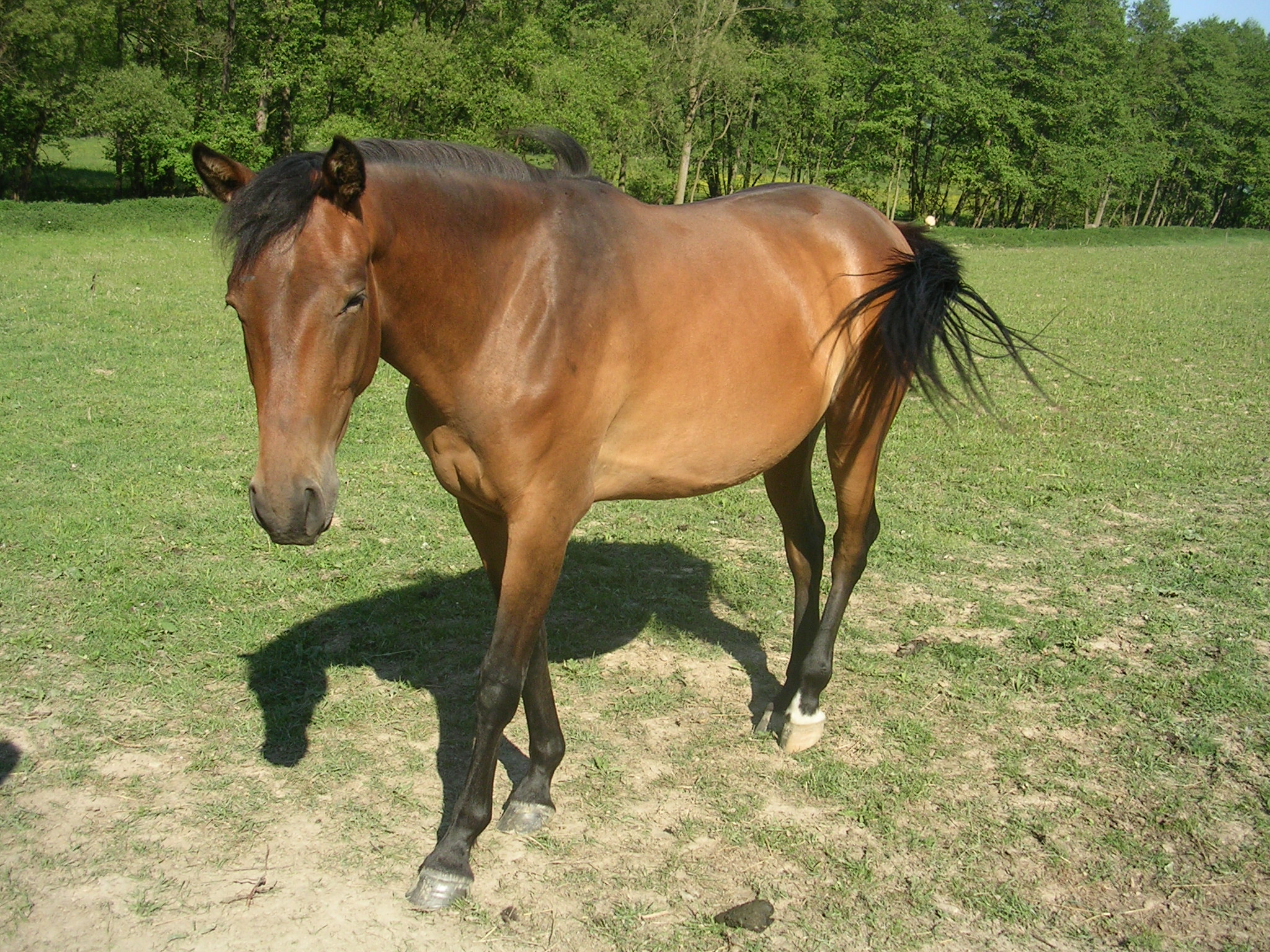 DSCN5719.JPG