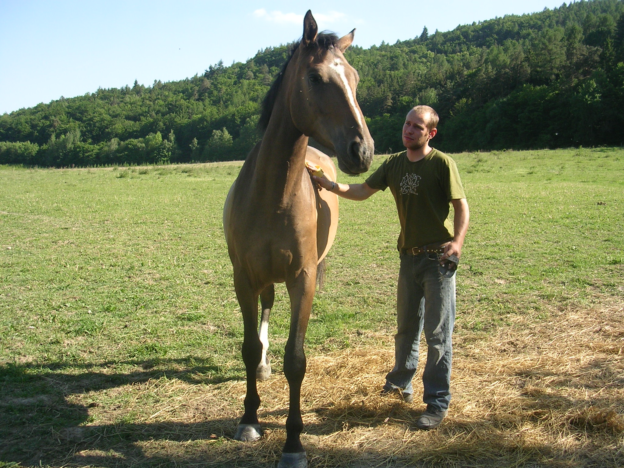DSCN5724.JPG