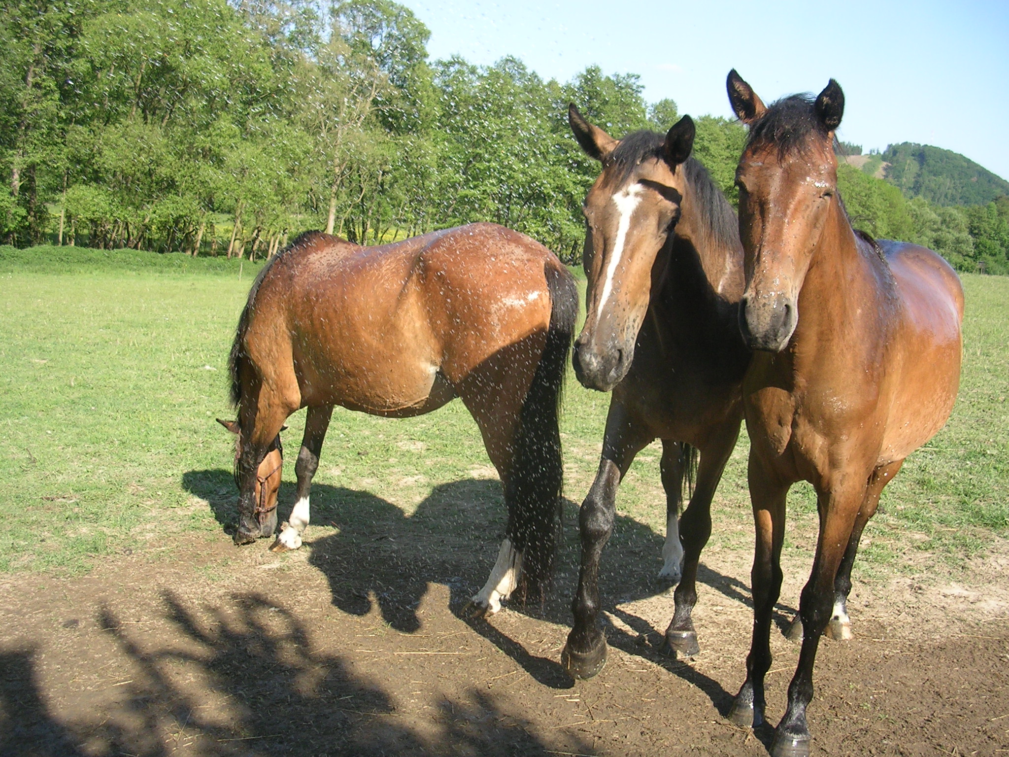 DSCN5738.JPG