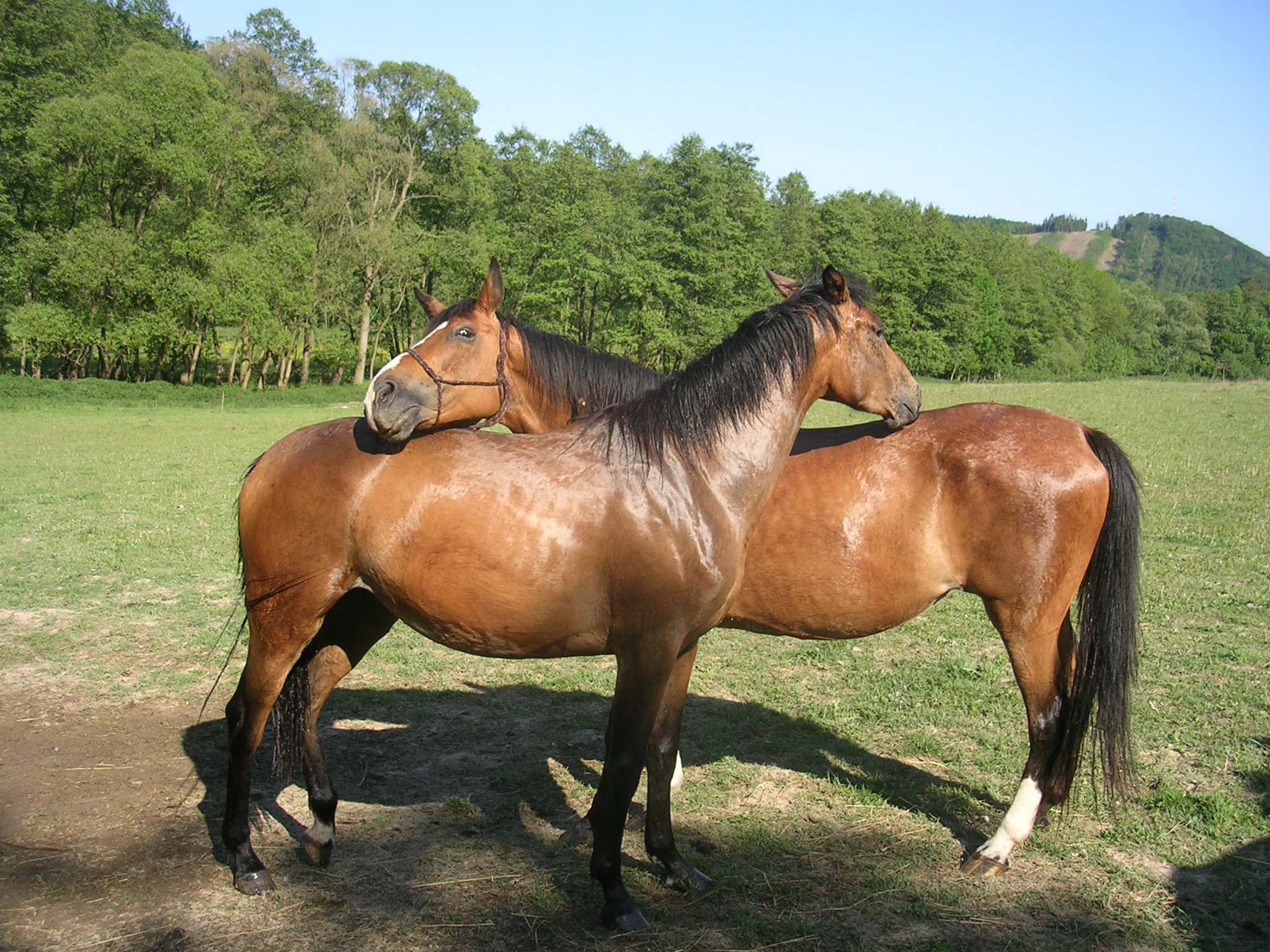 DSCN5751.JPG