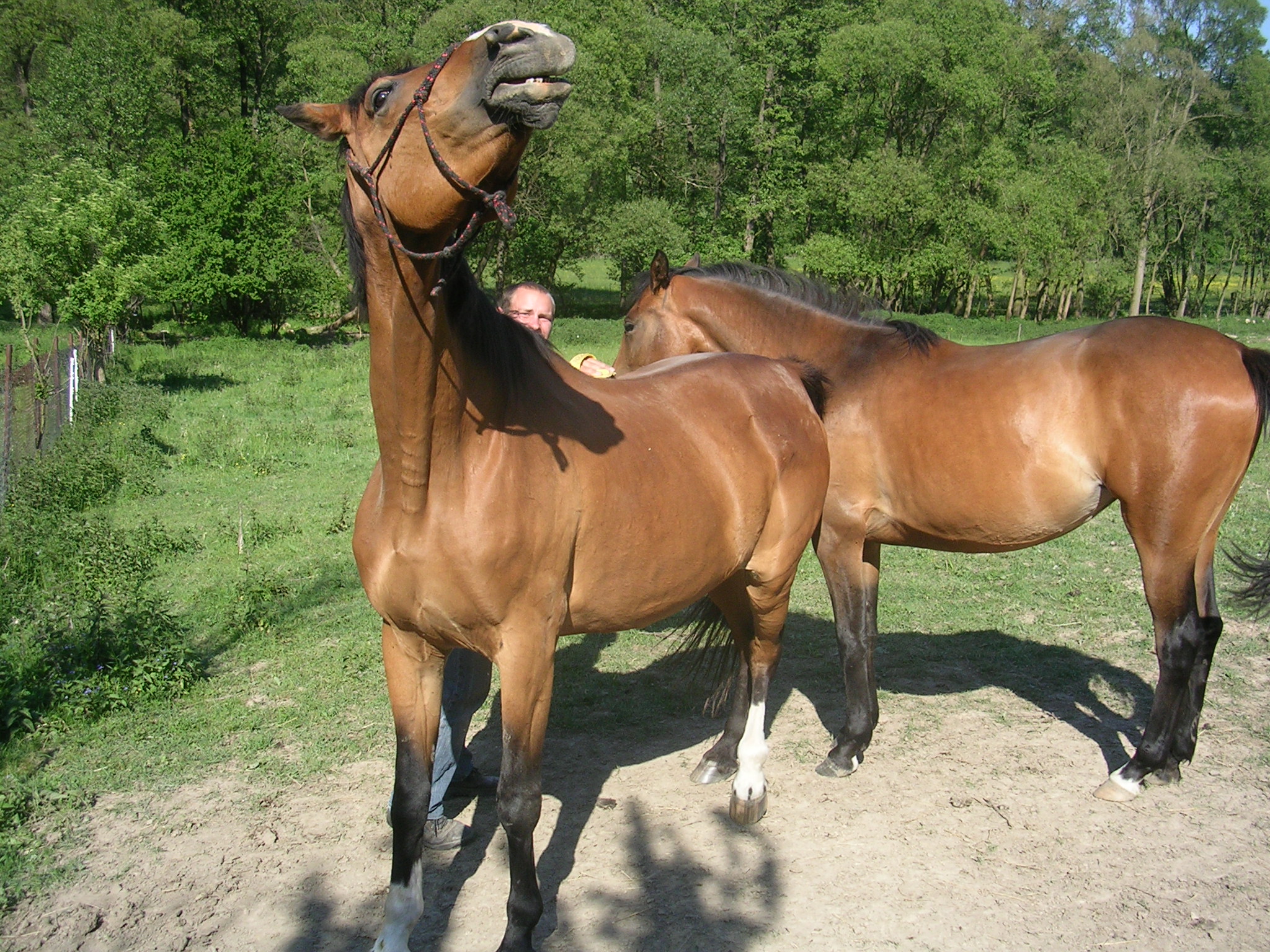 DSCN5715.JPG