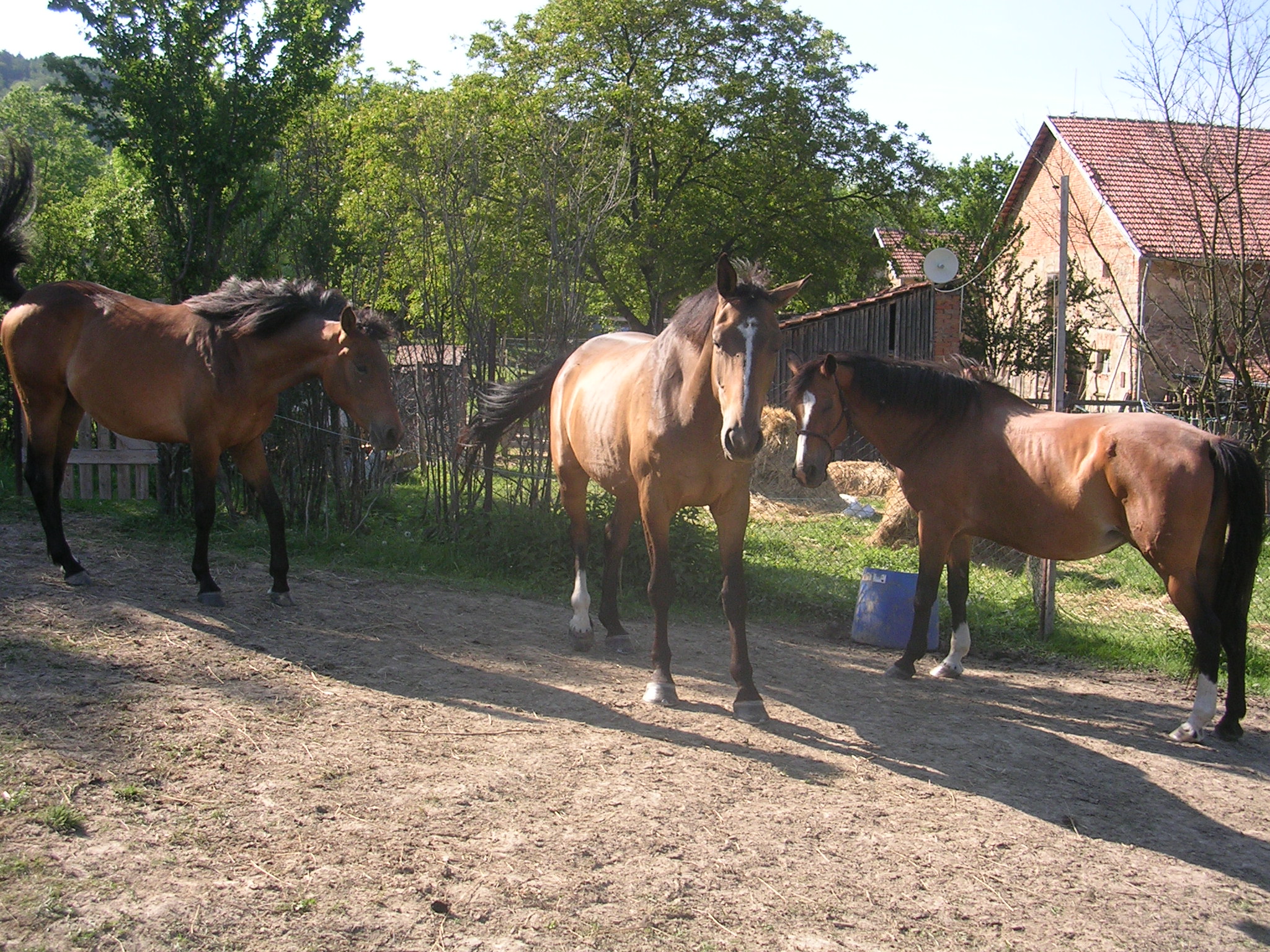 DSCN5728.JPG